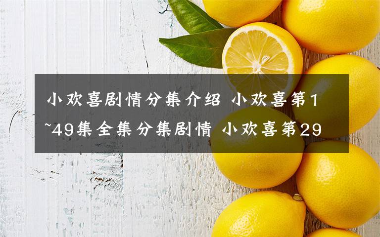 小欢喜剧情分集介绍 小欢喜第1~49集全集分集剧情 小欢喜第29~30集最新剧情预告文章配图