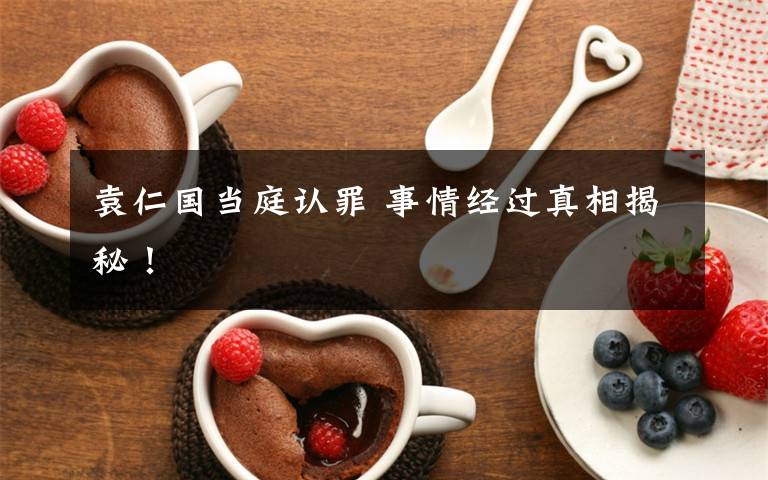 袁仁国当庭认罪 事情经过真相揭秘！文章配图