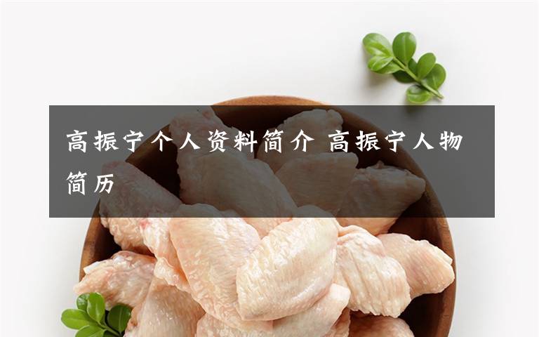 高振宁个人资料简介 高振宁人物简历文章配图