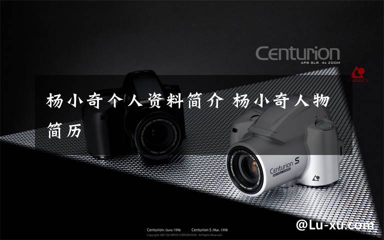 杨小奇个人资料简介 杨小奇人物简历文章配图