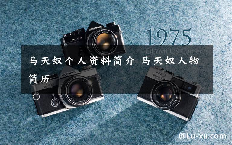 马天奴个人资料简介 马天奴人物简历文章配图