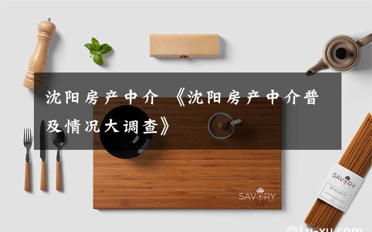 沈阳房产中介 《沈阳房产中介普及情况大调查》文章配图