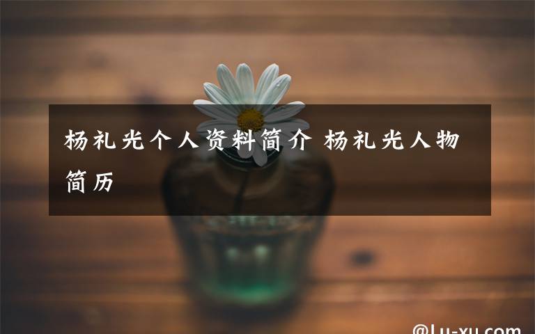 杨礼光个人资料简介 杨礼光人物简历文章配图