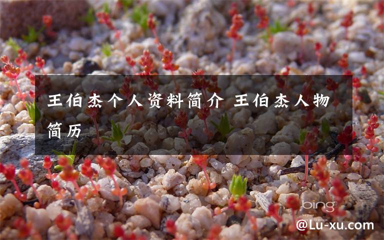 王伯杰个人资料简介 王伯杰人物简历文章配图