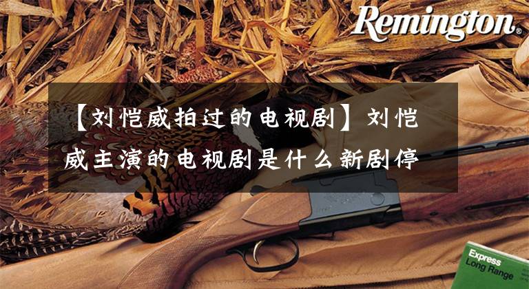 【刘恺威拍过的电视剧】刘恺威主演的电视剧是什么新剧停止拍摄后，一个人出现在机场，返回香港？文章配图