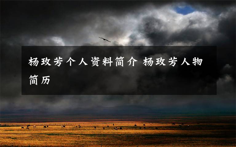 杨玫芳个人资料简介 杨玫芳人物简历文章配图