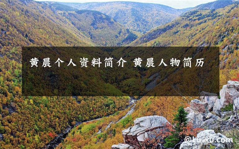 黄晨个人资料简介 黄晨人物简历文章配图