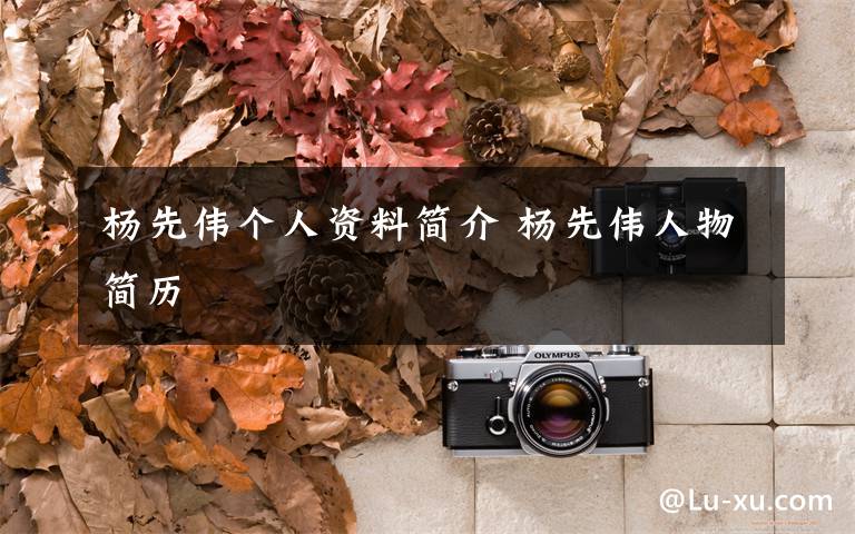 杨先伟个人资料简介 杨先伟人物简历文章配图