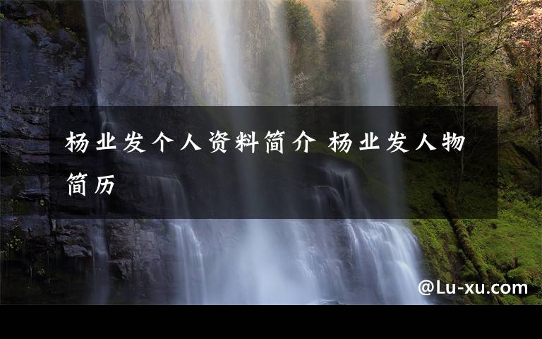 杨业发个人资料简介 杨业发人物简历文章配图