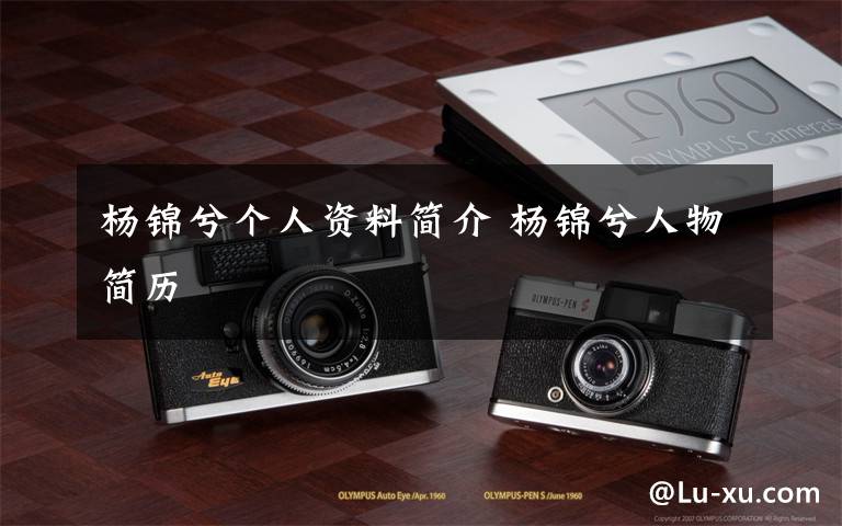 杨锦兮个人资料简介 杨锦兮人物简历文章配图