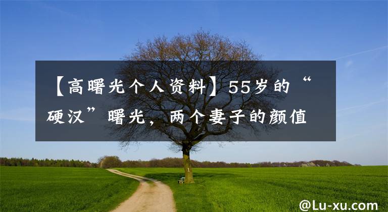 【高曙光个人资料】55岁的“硬汉”曙光，两个妻子的颜值差别很大，但现在前妻还是一个人。