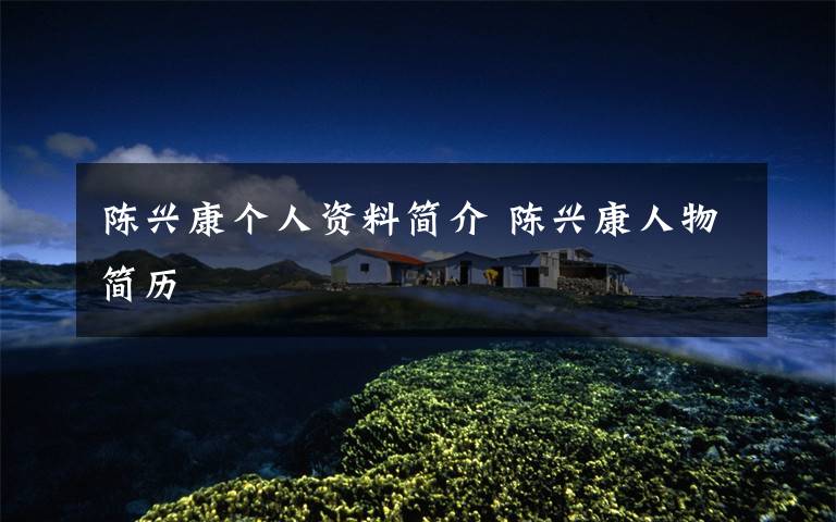 陈兴康个人资料简介 陈兴康人物简历文章配图