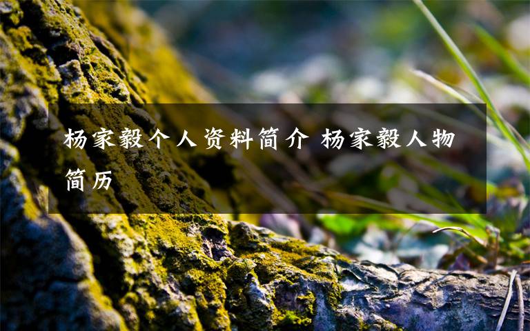 杨家毅个人资料简介 杨家毅人物简历文章配图