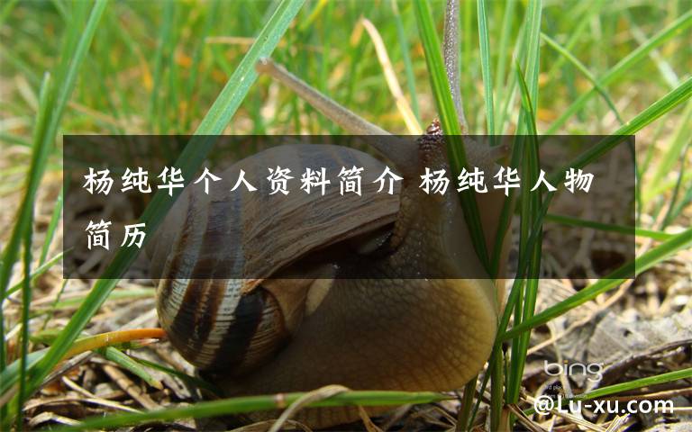 杨纯华个人资料简介 杨纯华人物简历文章配图