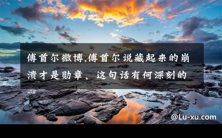 傅首尔微博,傅首尔说藏起来的崩溃才是勋章，这句话有何深刻的含义？文章配图