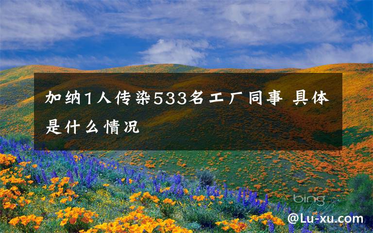加纳1人传染533名工厂同事 具体是什么情况文章配图