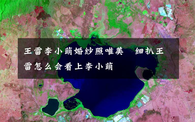 王雷李小萌婚纱照唯美   细扒王雷怎么会看上李小萌文章配图