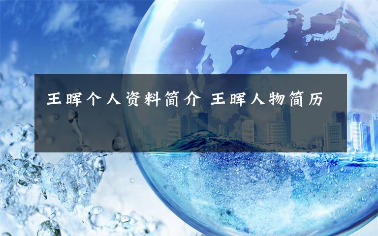 王晖个人资料简介 王晖人物简历文章配图