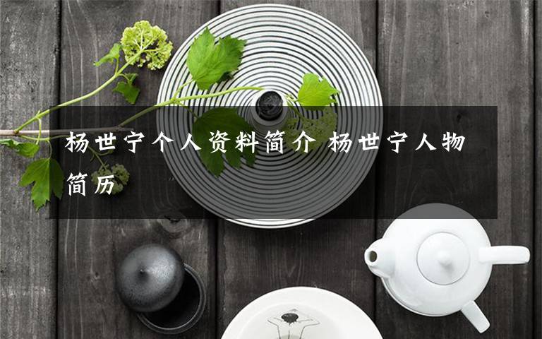 杨世宁个人资料简介 杨世宁人物简历文章配图