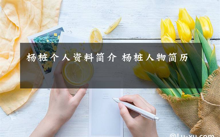 杨桩个人资料简介 杨桩人物简历文章配图