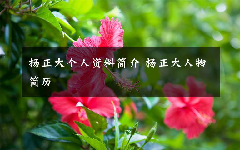 杨正大个人资料简介 杨正大人物简历文章配图