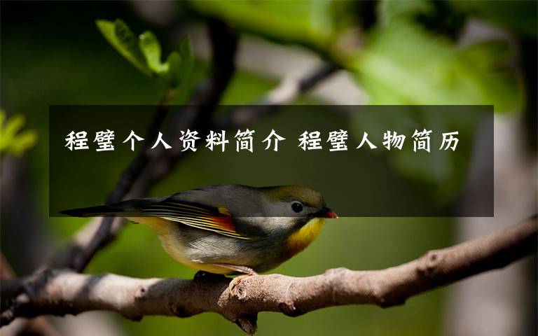 程璧个人资料简介 程璧人物简历文章配图