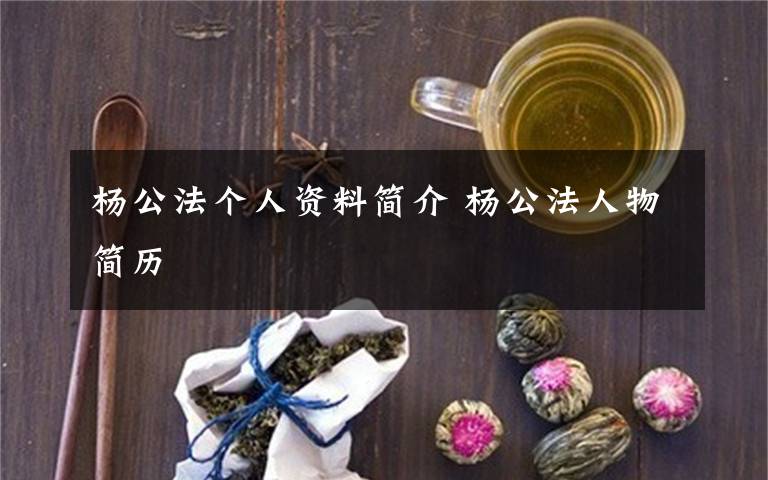 杨公法个人资料简介 杨公法人物简历文章配图