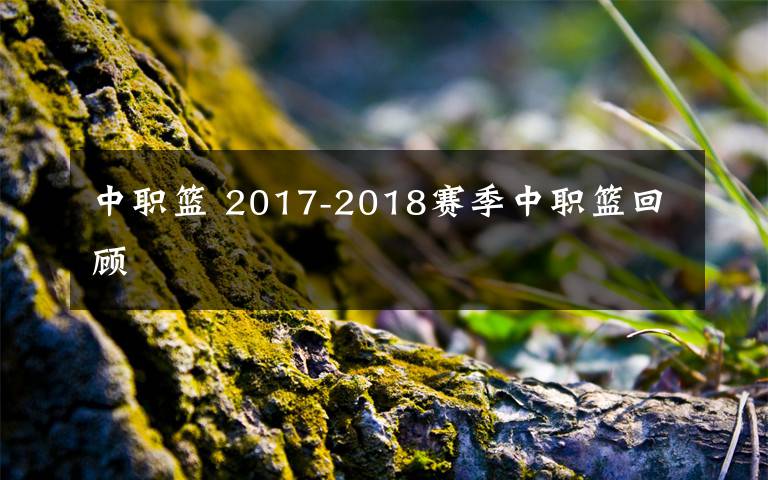 中职篮 2017-2018赛季中职篮回顾