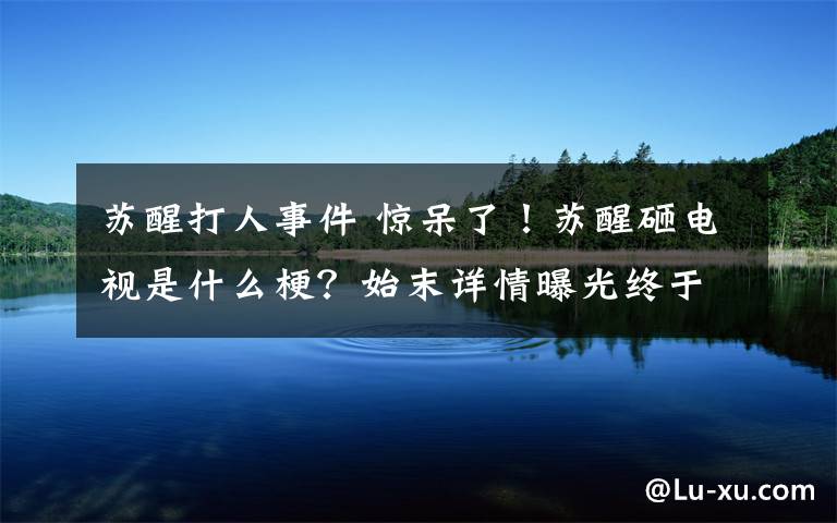 苏醒打人事件 惊呆了！苏醒砸电视是什么梗？始末详情曝光终于真相了