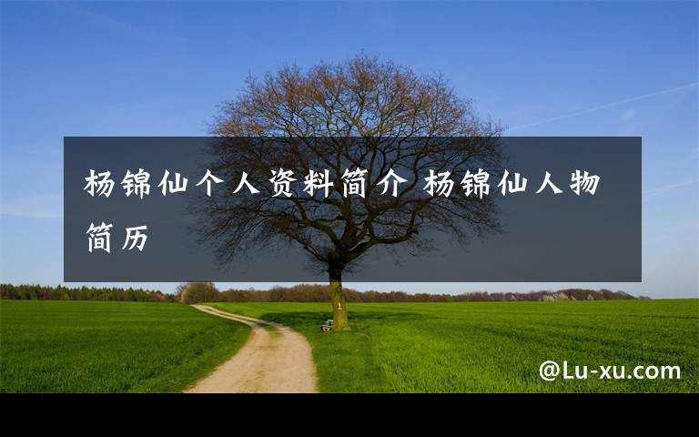 杨锦仙个人资料简介 杨锦仙人物简历文章配图