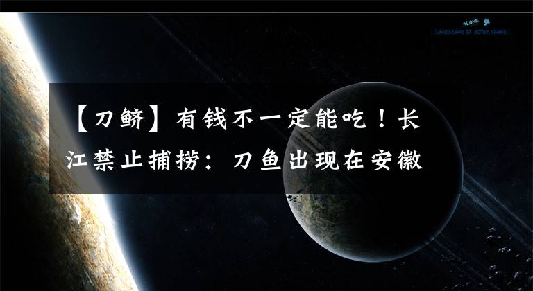 【刀鲚】有钱不一定能吃！长江禁止捕捞：刀鱼出现在安徽滁州，其价值有多高？文章配图