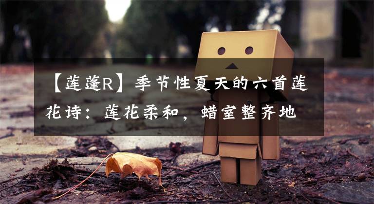 【莲蓬R】季节性夏天的六首莲花诗：莲花柔和，蜡室整齐地排列着漫画树枝文章配图