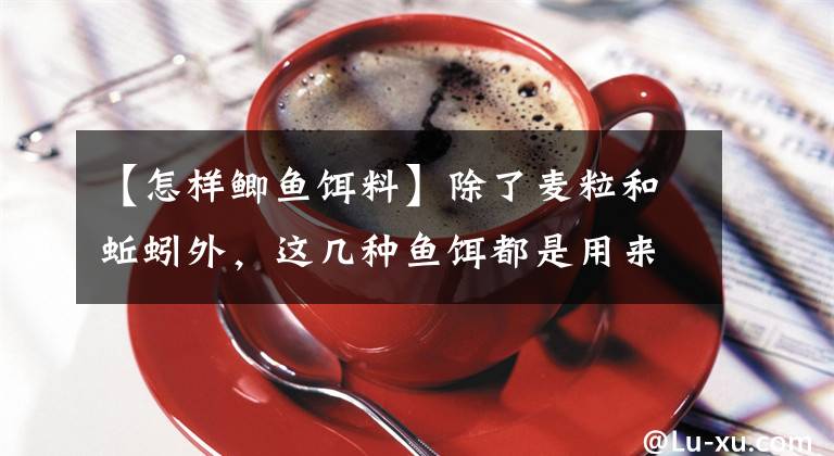 【怎样鲫鱼饵料】除了麦粒和蚯蚓外，这几种鱼饵都是用来野生钓鲫鱼的，中钩都是鲫鱼。文章配图