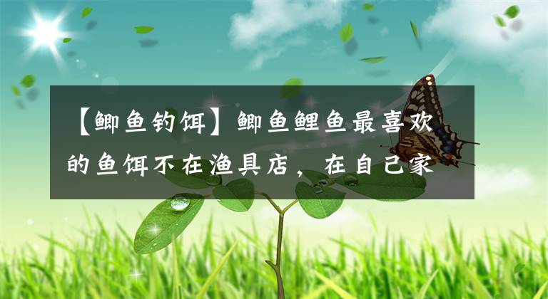 【鲫鱼钓饵】鲫鱼鲤鱼最喜欢的鱼饵不在渔具店，在自己家混三样就可以了。文章配图