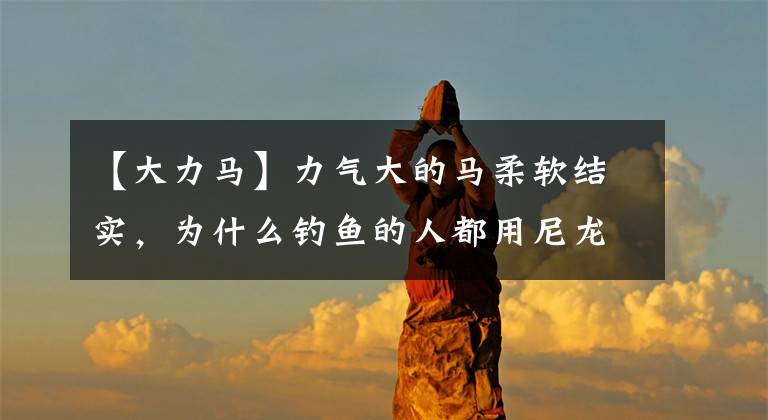 【大力马】力气大的马柔软结实，为什么钓鱼的人都用尼龙线？事实太伤心了文章配图
