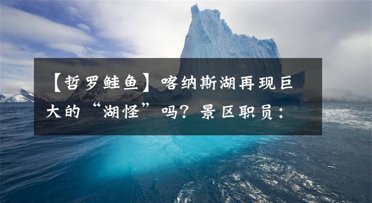 【哲罗鲑鱼】喀纳斯湖再现巨大的“湖怪”吗？景区职员：那就是哲拉三文鱼