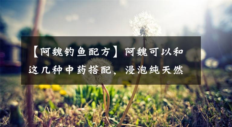 【阿魏钓鱼配方】阿魏可以和这几种中药搭配，浸泡纯天然酒和大米窝文章配图