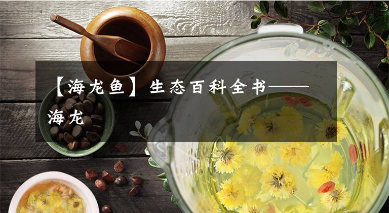 【海龙鱼】生态百科全书——海龙文章配图