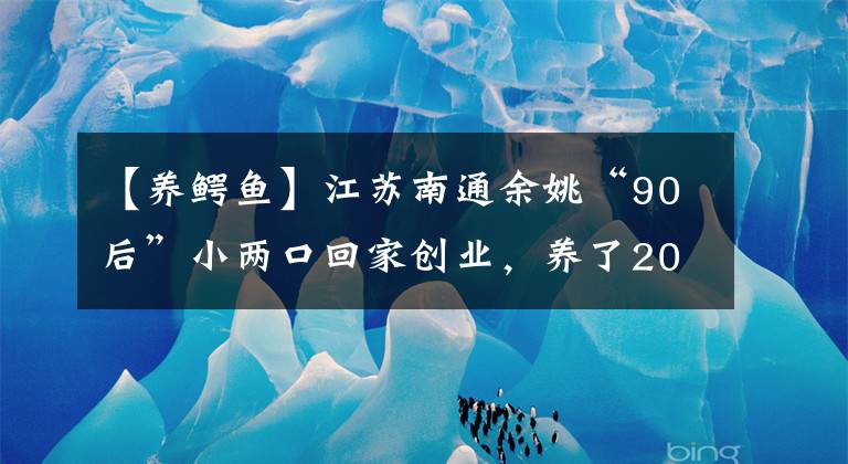 【养鳄鱼】江苏南通余姚“90后”小两口回家创业，养了200条鳄鱼。