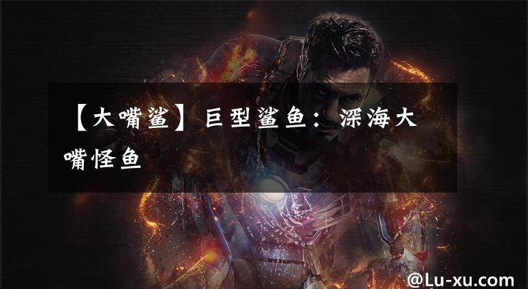 【大嘴鲨】巨型鲨鱼：深海大嘴怪鱼文章配图