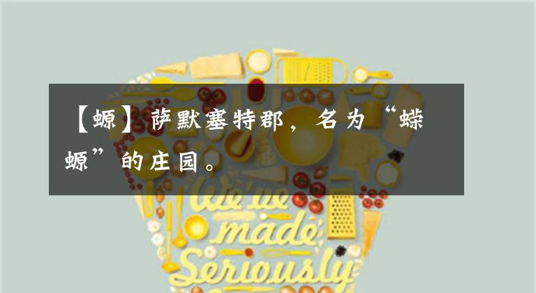 【螈】萨默塞特郡，名为“蝾螈”的庄园。文章配图