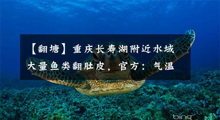 【翻塘】重庆长寿湖附近水域大量鱼类翻肚皮，官方：气温变化大。