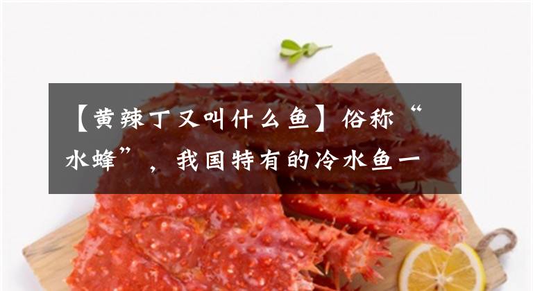 【黄辣丁又叫什么鱼】俗称“水蜂”，我国特有的冷水鱼一年不到1 ~ 2岁，但卖200韩元一斤。文章配图