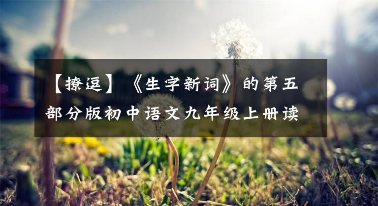 【撩逗】《生字新词》的第五部分版初中语文九年级上册读、读、写(复试)