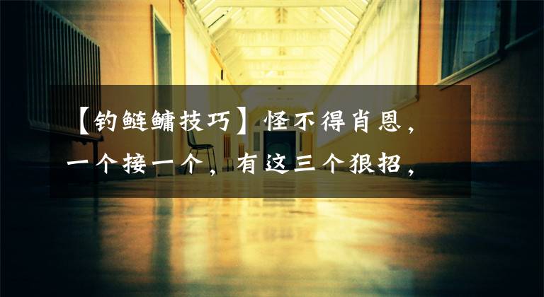 【钓鲢鳙技巧】怪不得肖恩，一个接一个，有这三个狠招，天气再坏也能疯拉疯拉。文章配图