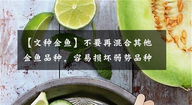 【文种金鱼】不要再混合其他金鱼品种，容易损坏弱势品种文章配图