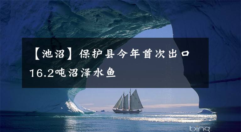 【池沼】保护县今年首次出口16.2吨沼泽水鱼