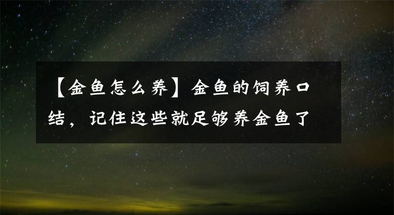 【金鱼怎么养】金鱼的饲养口结，记住这些就足够养金鱼了！文章配图