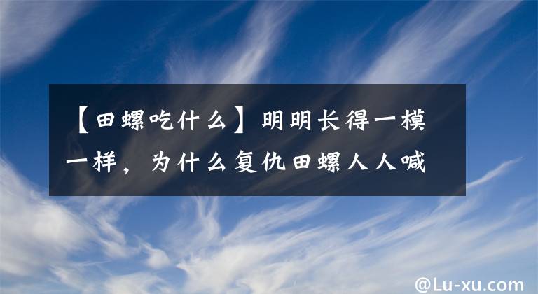 【田螺吃什么】明明长得一模一样，为什么复仇田螺人人喊打，田螺却都喜欢吃？文章配图