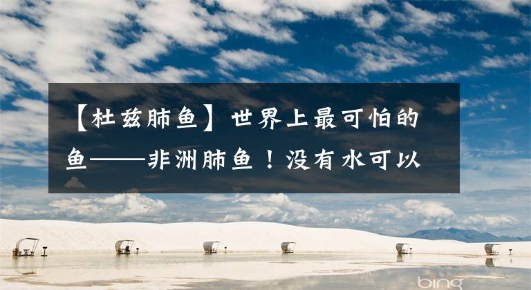 【杜兹肺鱼】世界上最可怕的鱼——非洲肺鱼！没有水可以在地上生活4年，非洲人喜欢在泥土里挖鱼文章配图